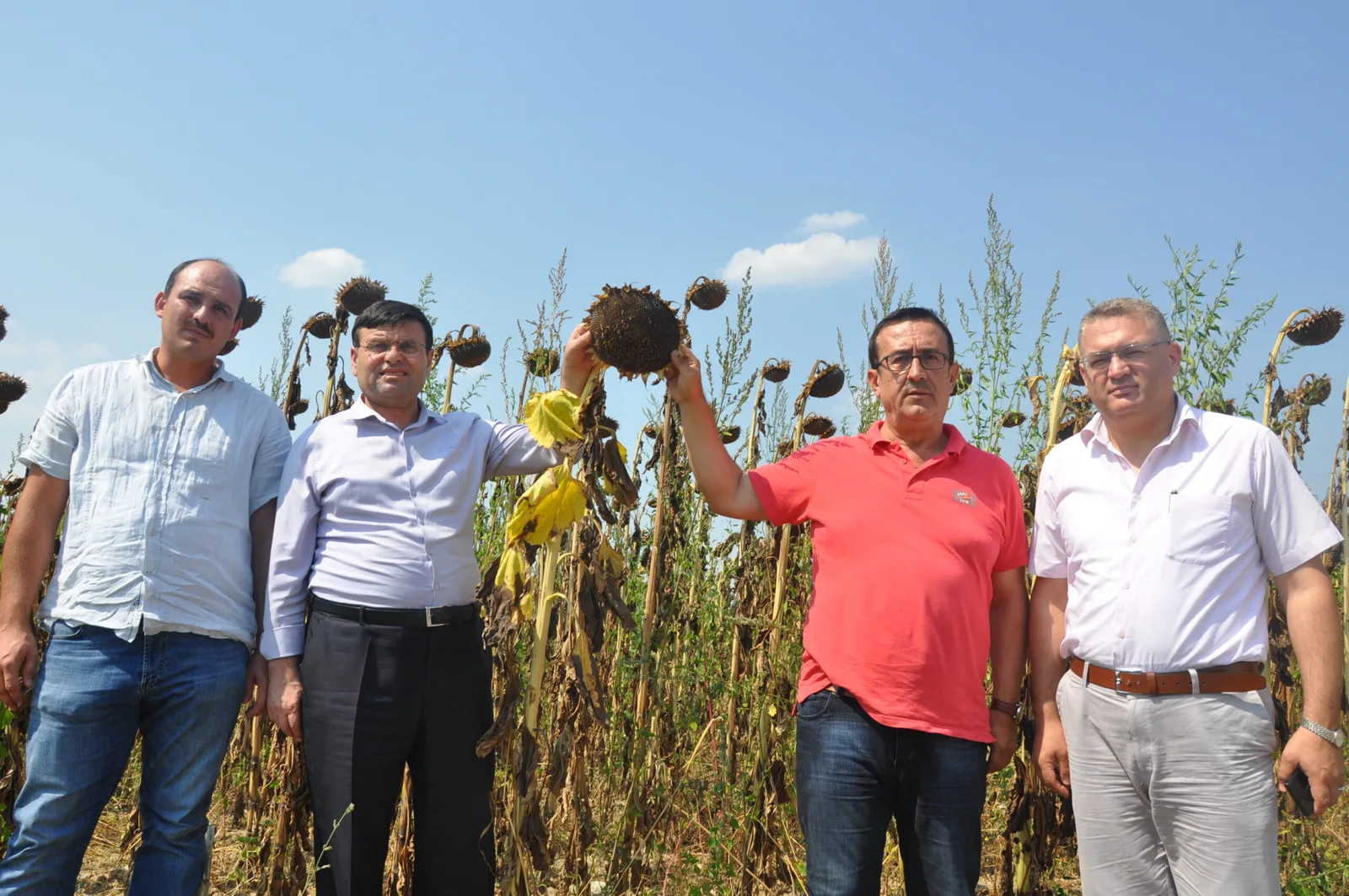İnegöl'ün geleceği meyvecilik