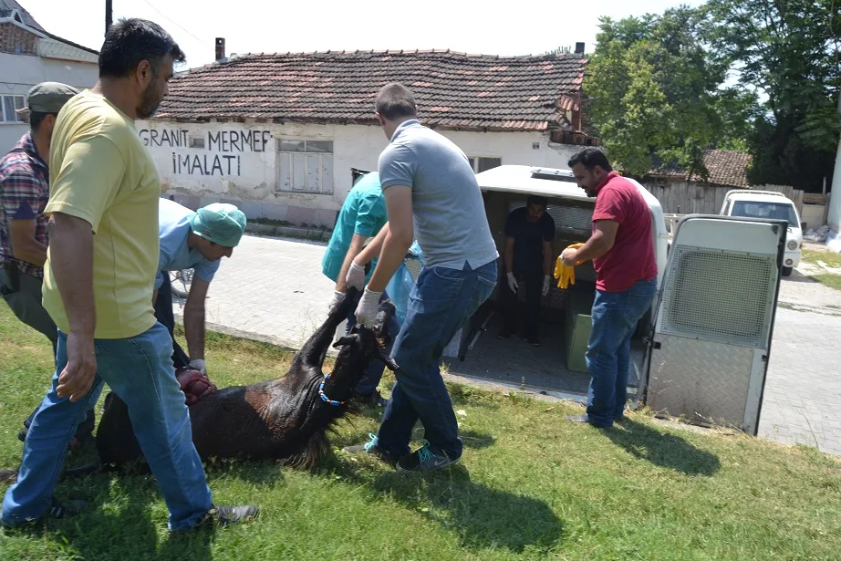 Duvardan atlamak isterken yaralandı
