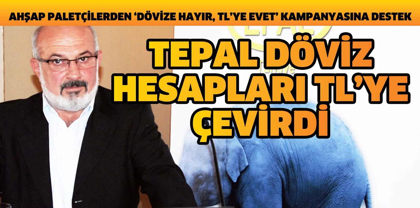 TEPAL DÖVİZ HESAPLARI TL'YE ÇEVİRDİ