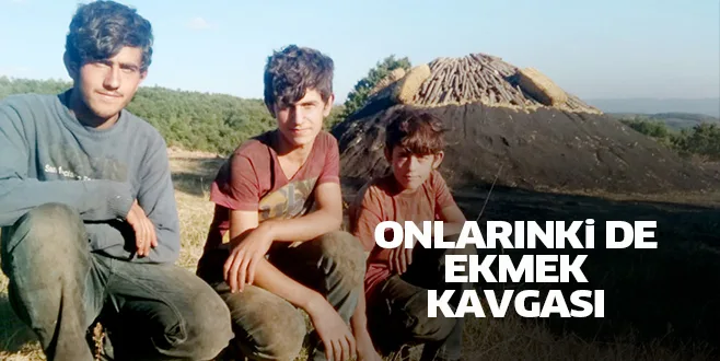 Bilinmeyen yönleri ile mangal kömürü