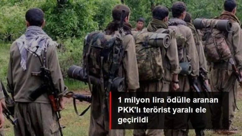 1 milyon lira ödülle aranan PKK'lı terörist yaralı ele geçirildi