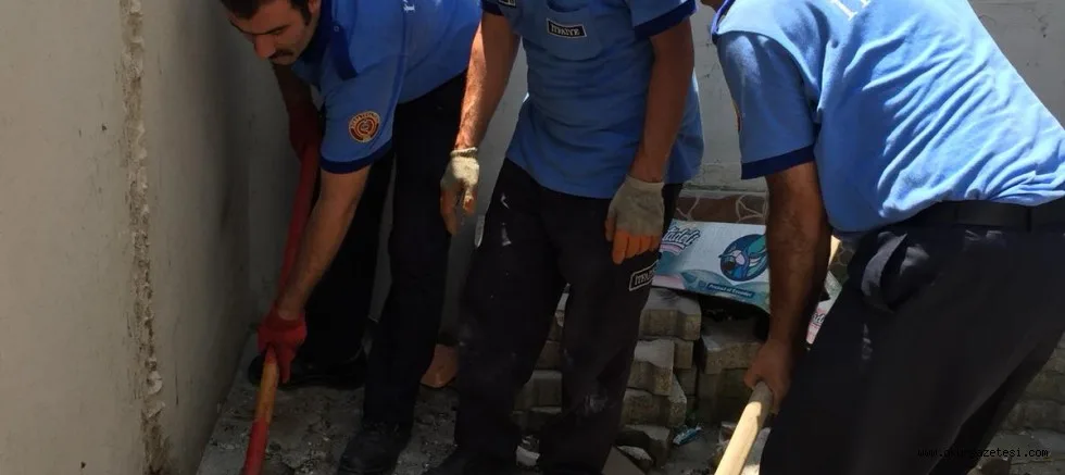 1 SAATLiK UĞRAŞ SONUCU YAVRU KEDi KURTARILDI