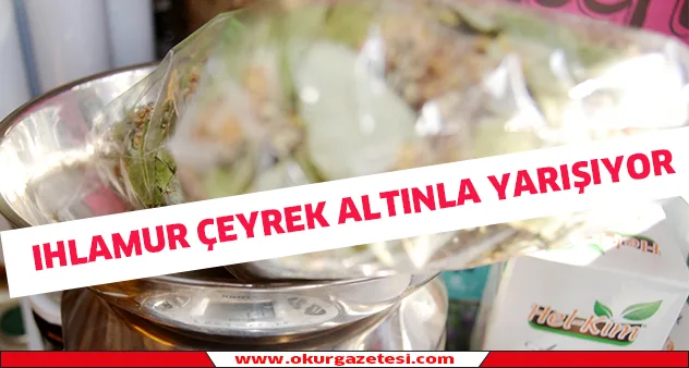 Ihlamur çeyrek altınla yarışıyor