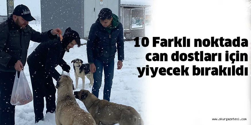10 Farklı noktada can dostları için yiyecek bırakıldı