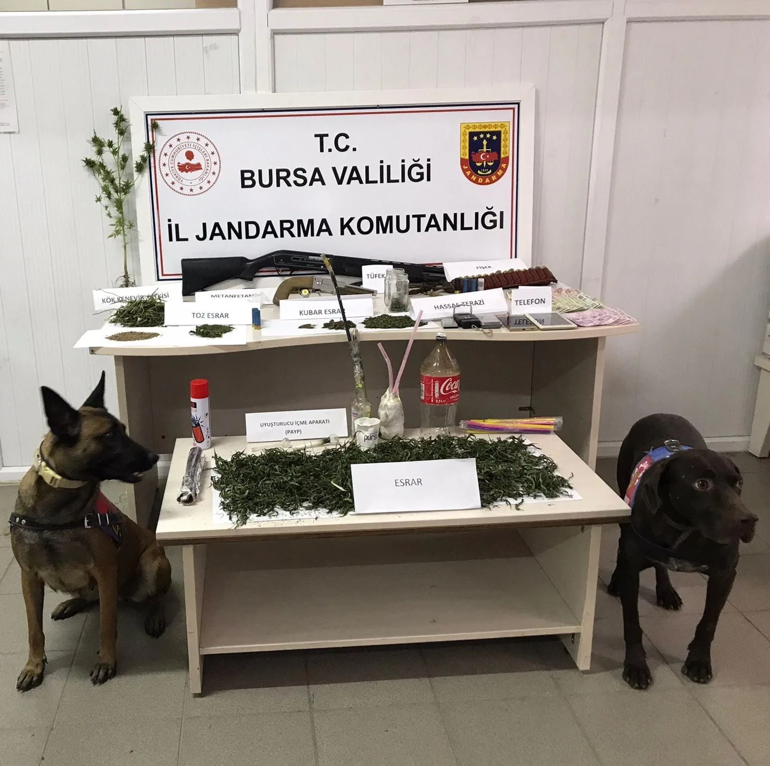 İnegöl'de bahçede uyuşturucu imalatı