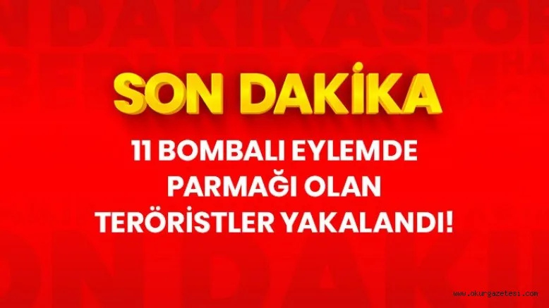 11 bombalı eylemde parmağı olan teröristler Afrin'de yakalandı