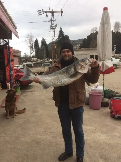 11 Kiloluk Levrek Görenleri Şaşırttı
