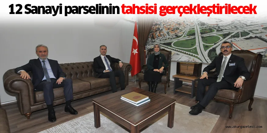 12 Sanayi parselinin tahsisi gerçekleştirilecek