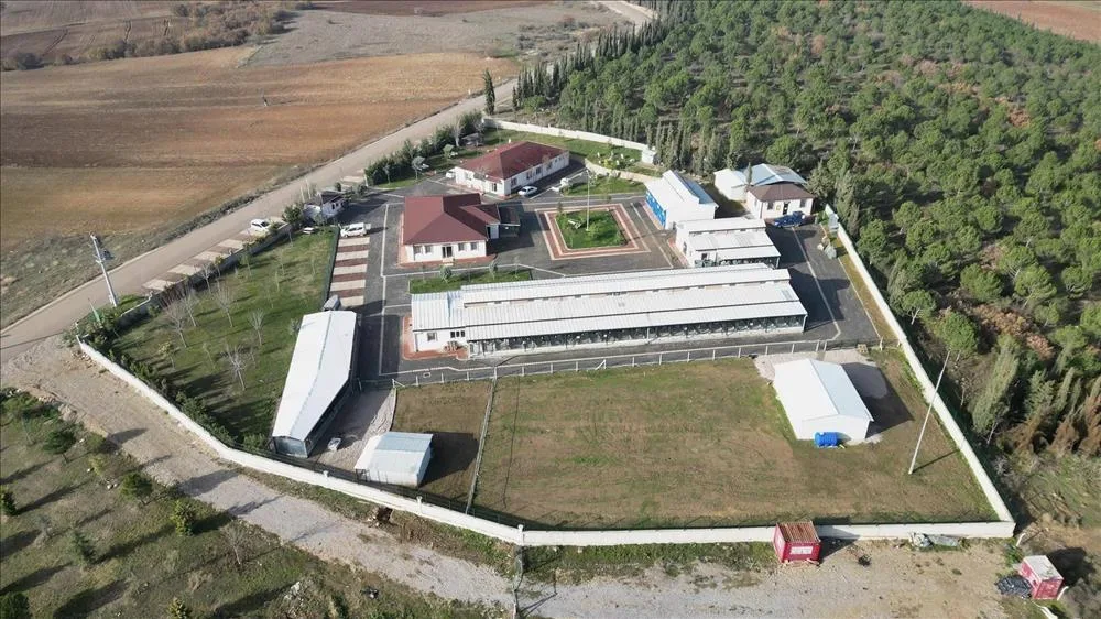 İnegöl’de 266 sokak hayvanı yeni yuvasına kavuştu