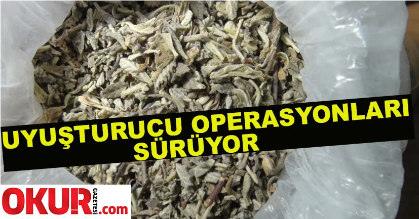 Uyuşturucu operasyonları sürüyor