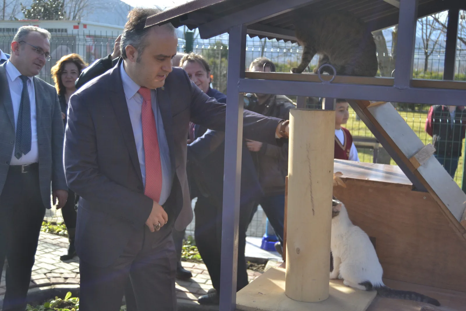 Pisi Bahçe faaliyete geçti
