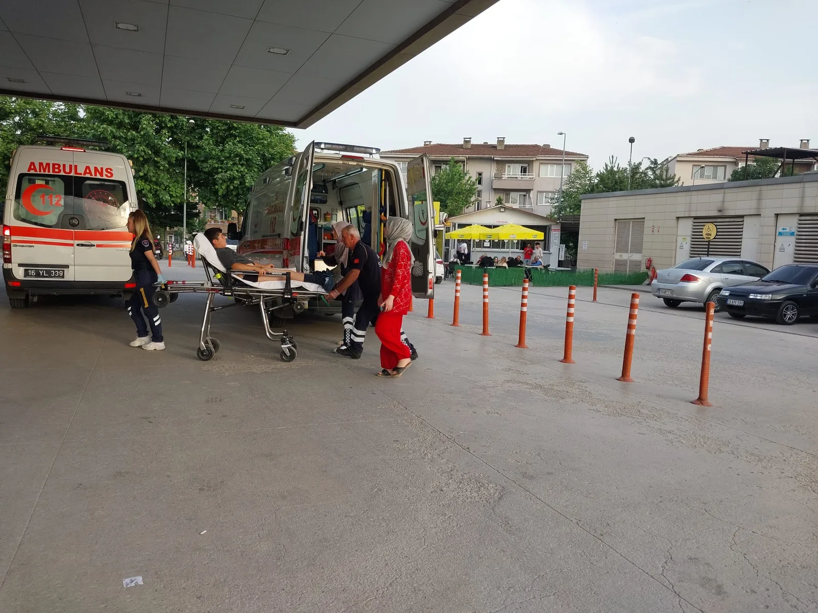 İnegöl'de yılan dehşeti