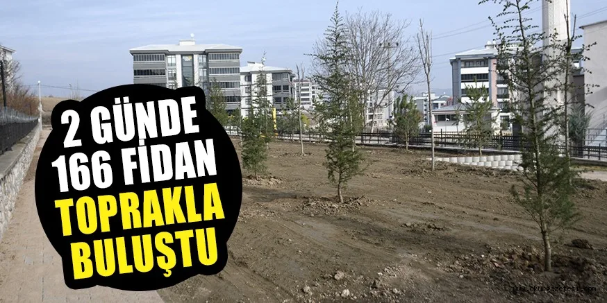 2 GÜNDE 166 FİDAN TOPRAKLA BULUŞTU