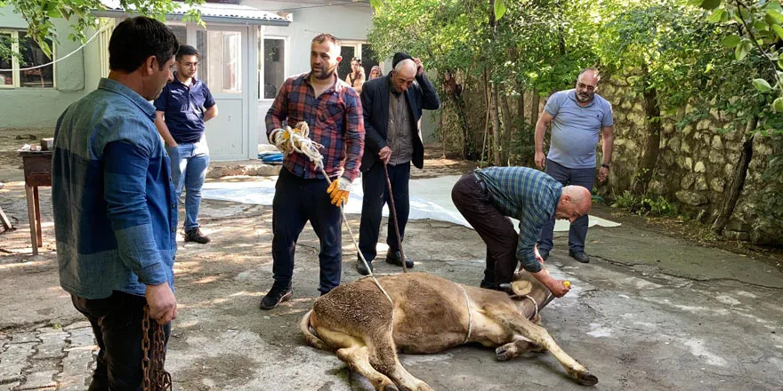 İnegöl’de “Kurban Kesim Elemanı” kursu açılıyor