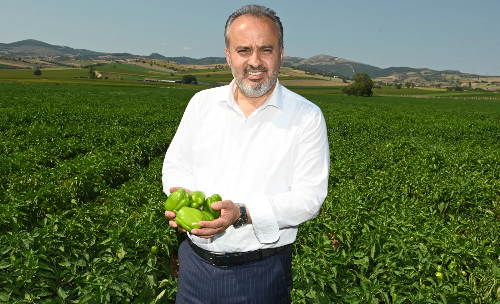 Büyükşehir’in tarlada izi var