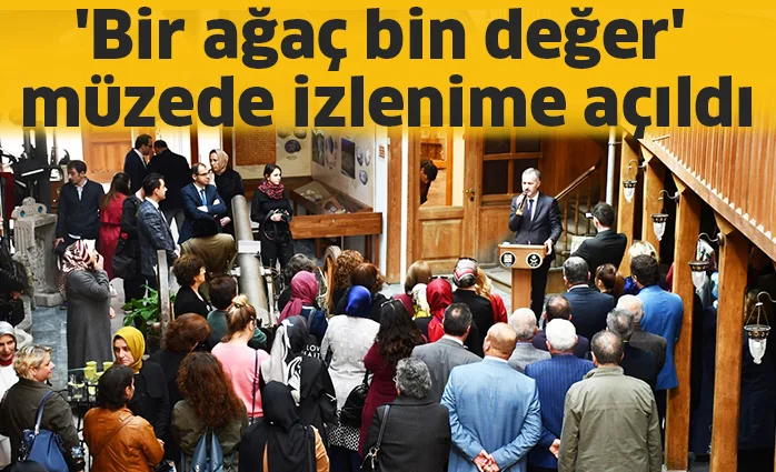'Bir ağaç bin değer' müzede izlenime açıldı