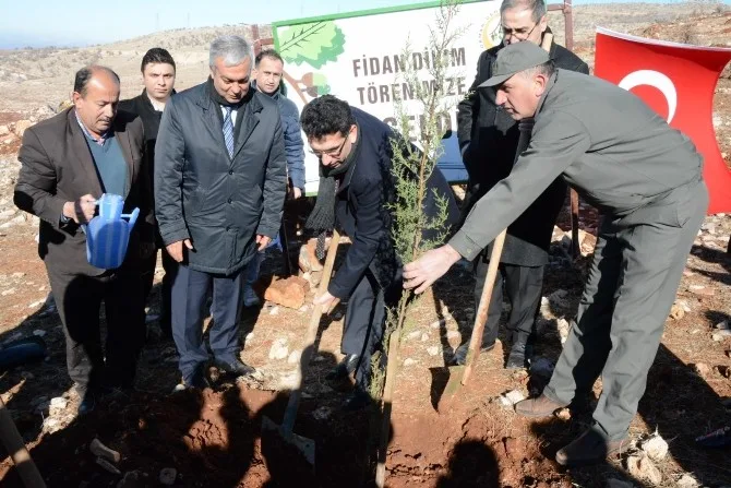30 Bin Adet Fıstık Fidanı Toprakla Buluştu