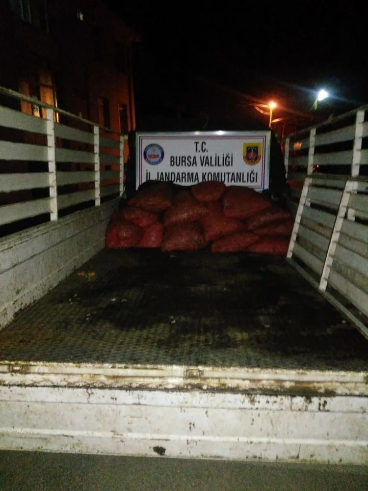 300 Kilo Midye Ele Geçirildi