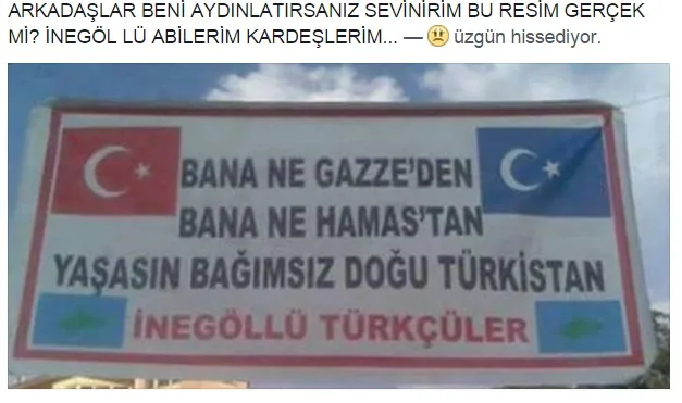 Bu neyin kafası?