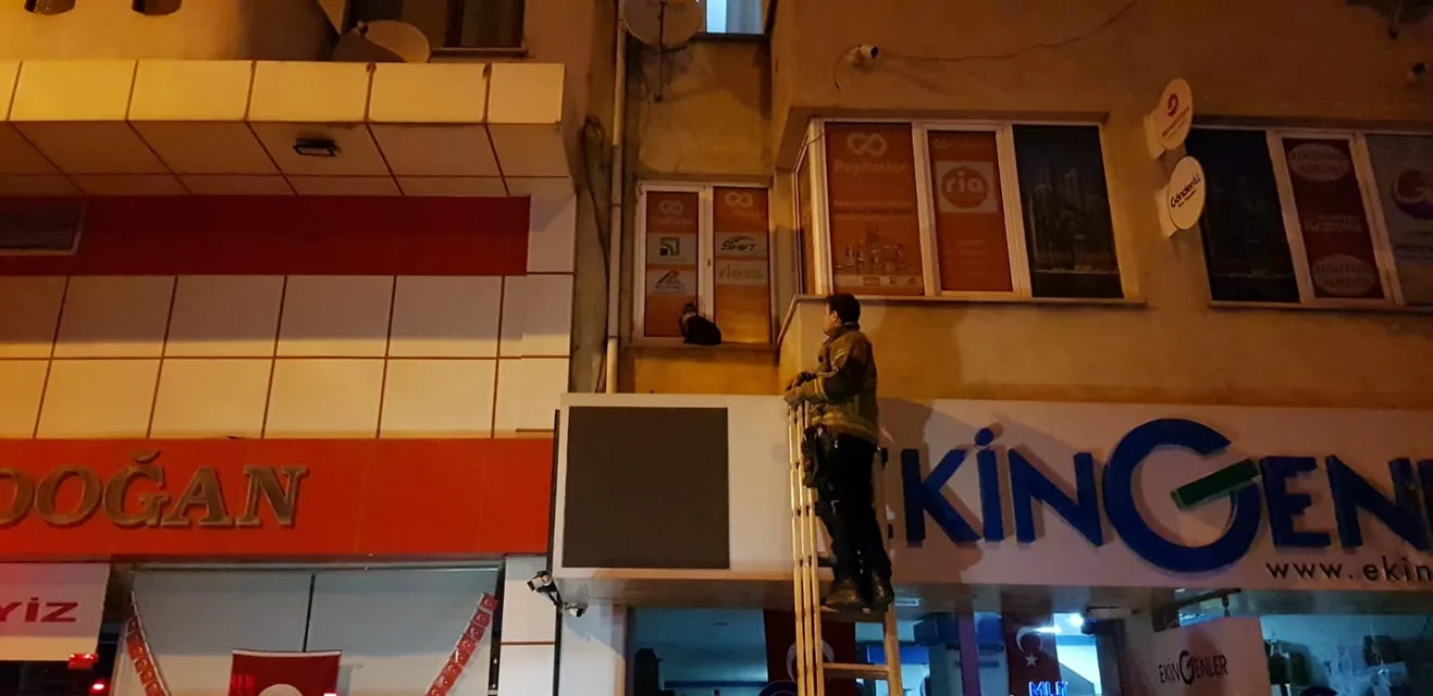 Gece yarısı kedi kurtarma operasyonu