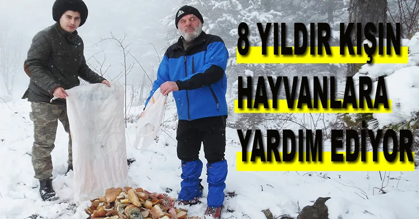 8 yıldır, kışın hayvanlara yardım ediyor