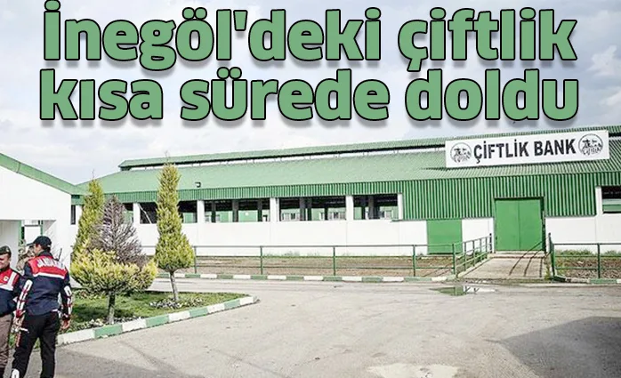 İnegöl'deki çiftlik kısa sürede doldu