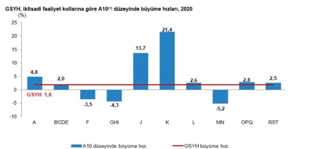 Türkiye nin 2020 yılı büyüme oranı açıklandı #1