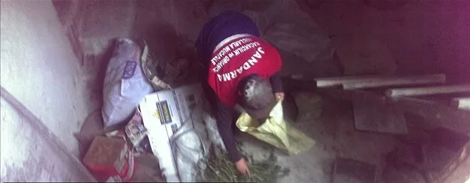 Jandarma kenevir tarlası ele geçirildi