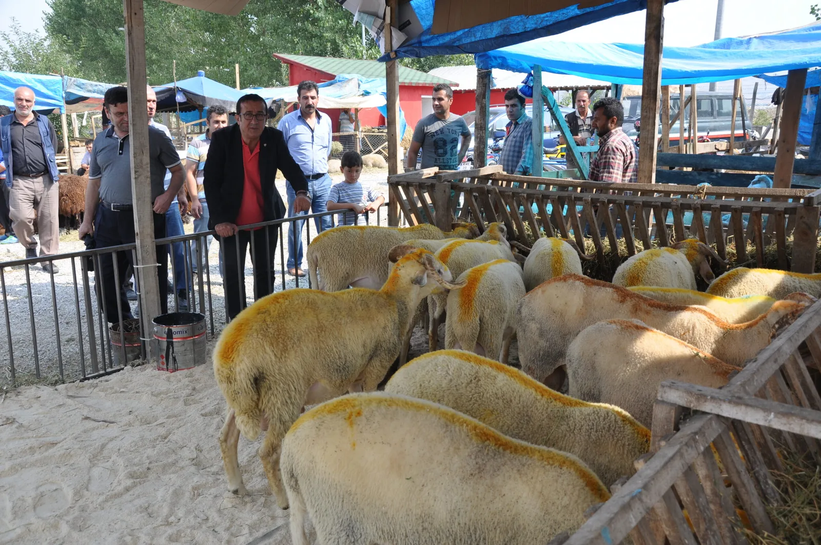 Doğru ve Çelik'ten hayvan pazarına incelme