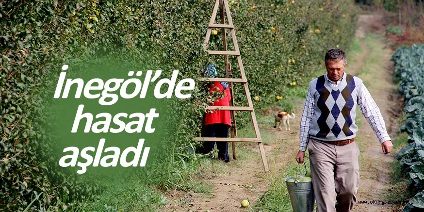 6 Bin dekar alanda Deveci Armudu hasadı başladı