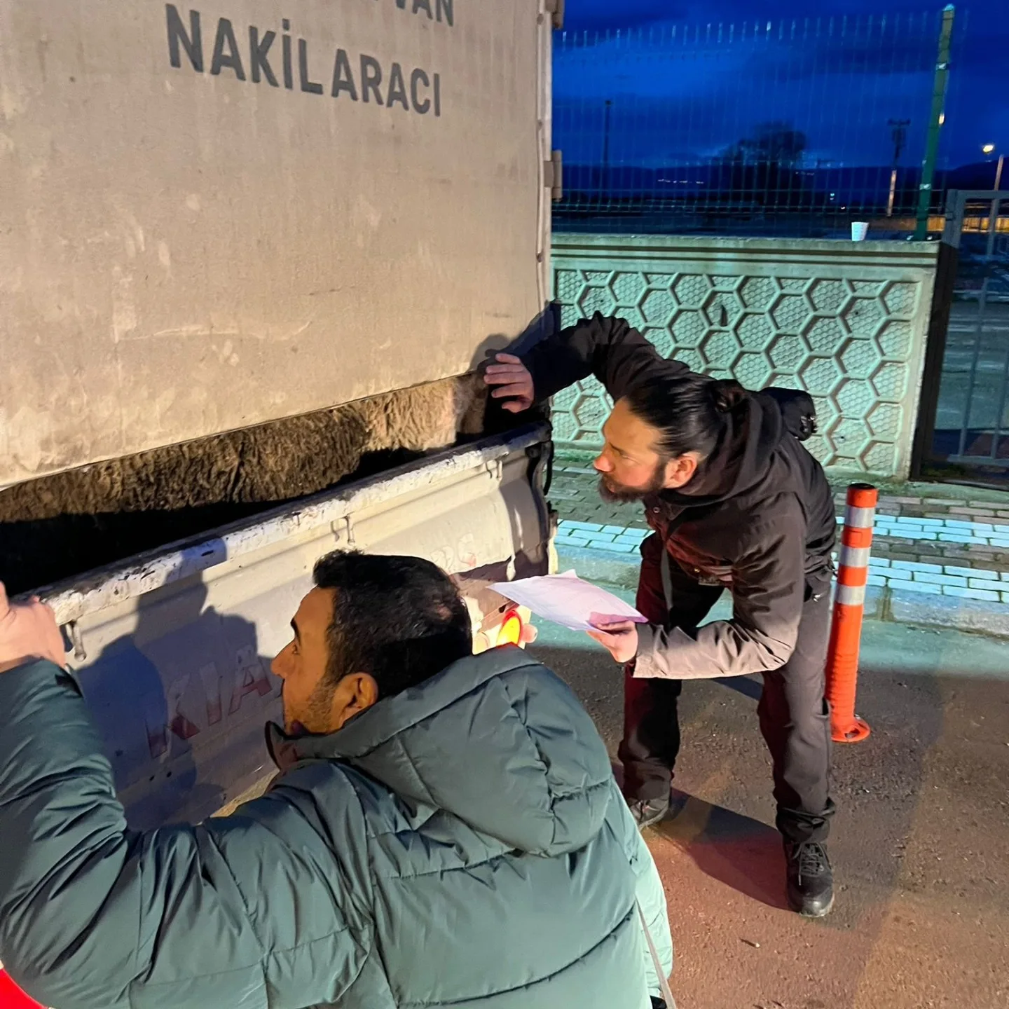 İnegöl’de hayvanlar tek tek kontrol edildi