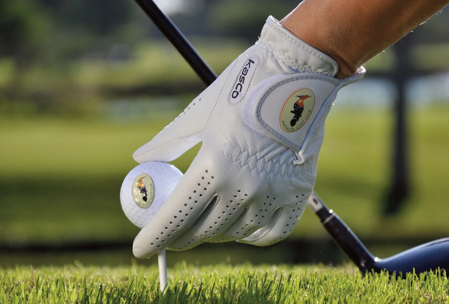 Bursa golf turizmi merkezi oluyor