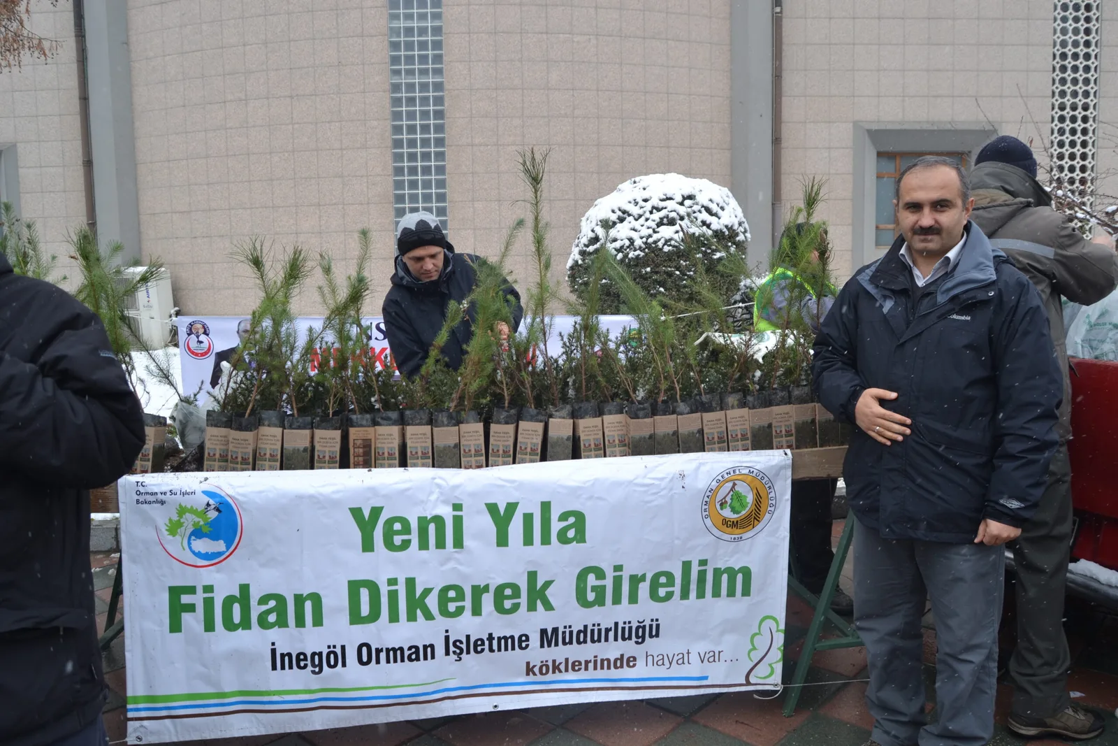 "Ağaç kesme fidan dik"