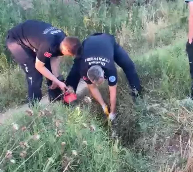 İnegöl'de bir 'can' kurtarıldı