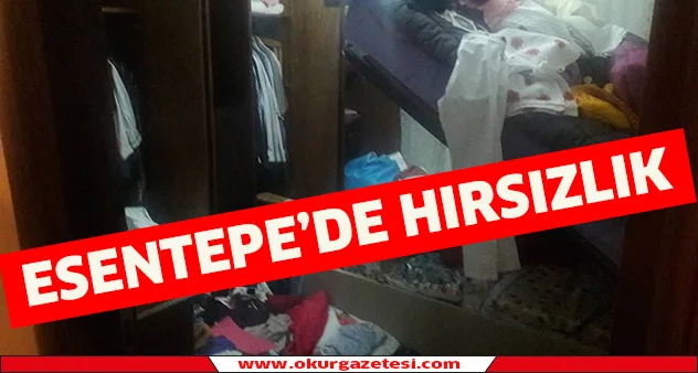 Esentepe'de hırsızlık