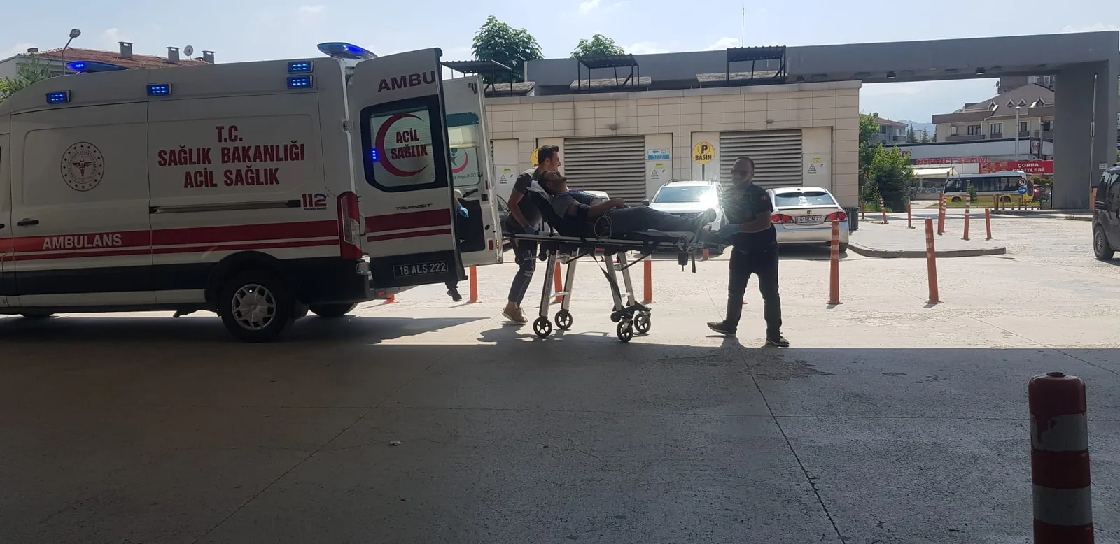 İnegöl'de arı dehşeti