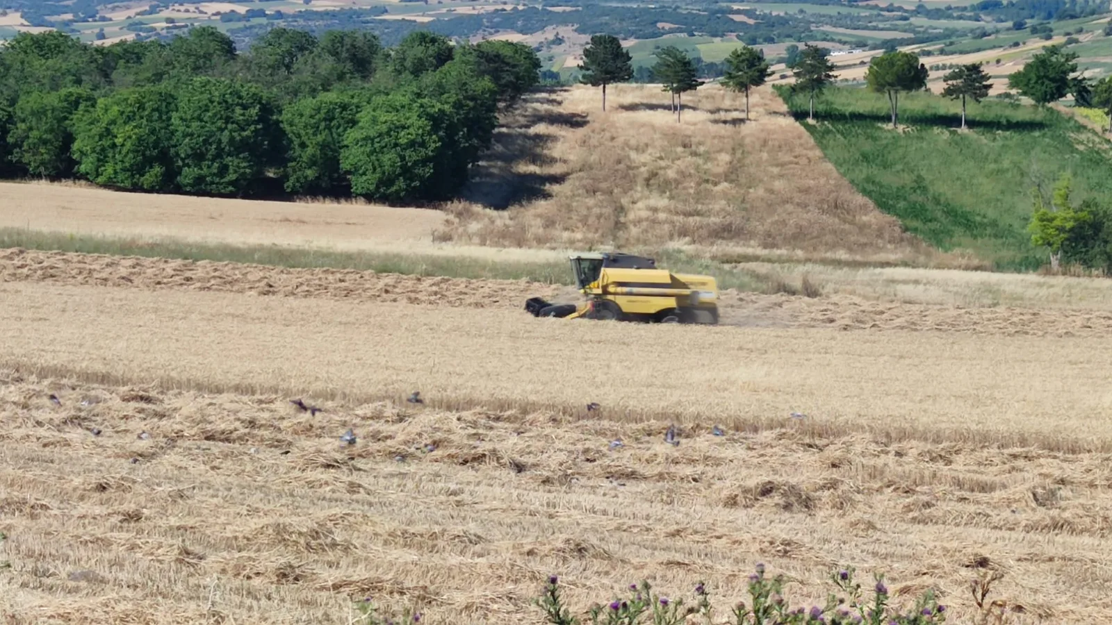 İnegöl İlçe Tarım Müdürlüğü'nden çiftçilere uyarı