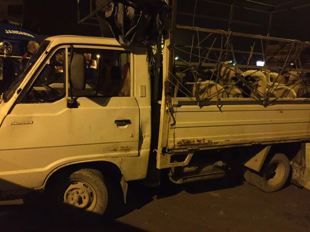 Jandarma hırsızı İznik'te yakaladı