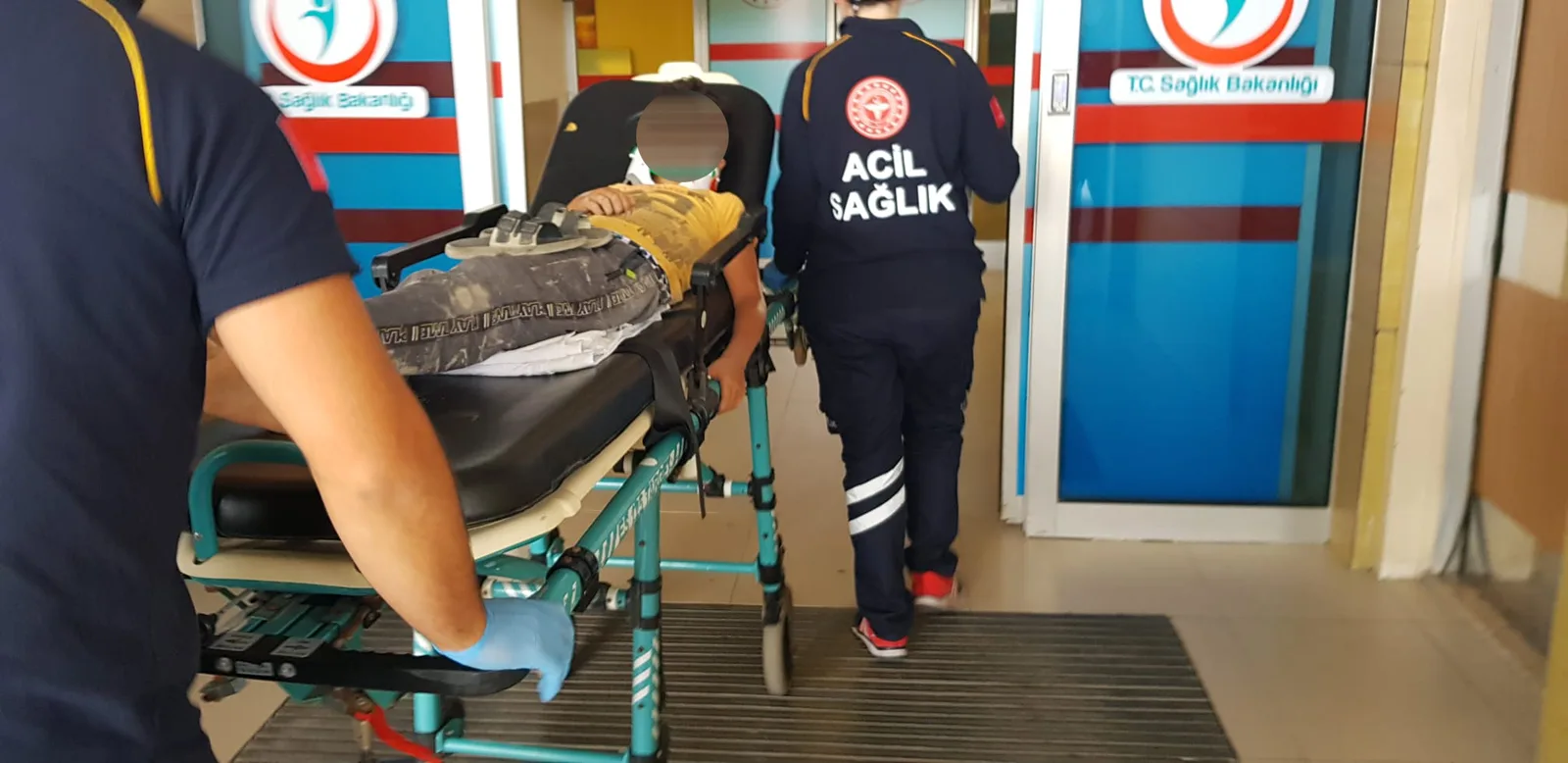 Acılar içinde acile getirildi