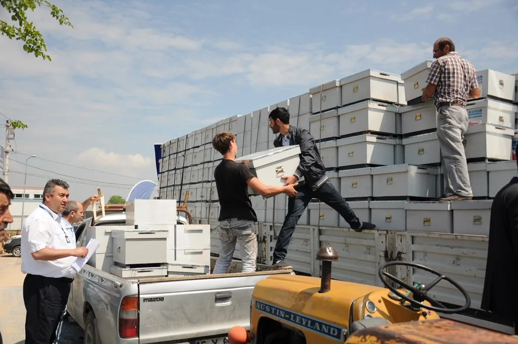 Arıcılara kovanları dağıtıldı