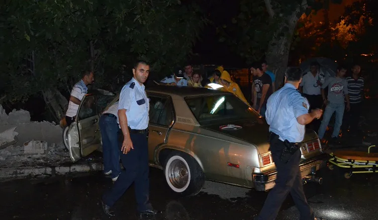 Yol kenarındaki ağaç canlarını kurtardı