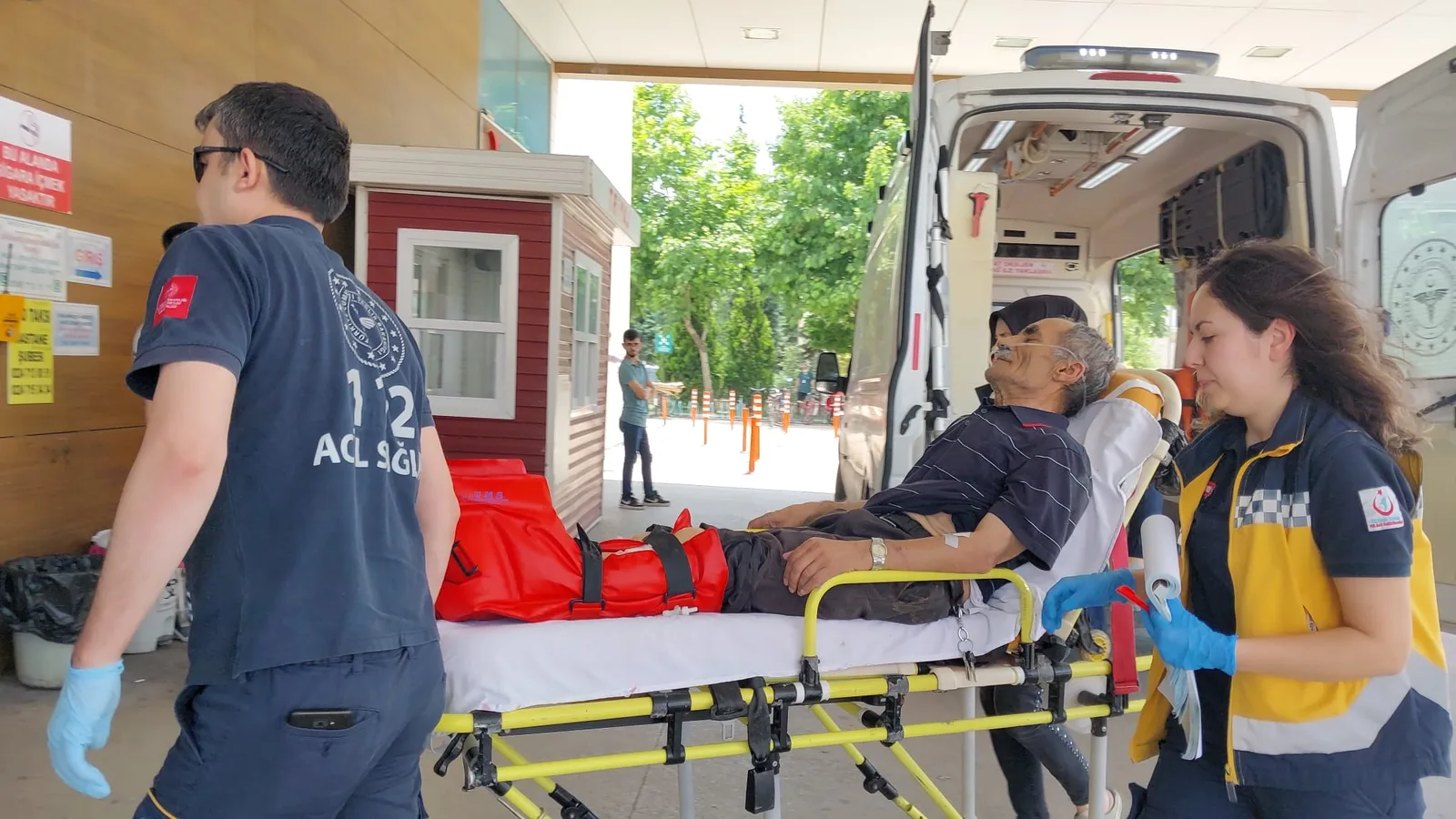 Ihlamur toplarken hastanelik oldu