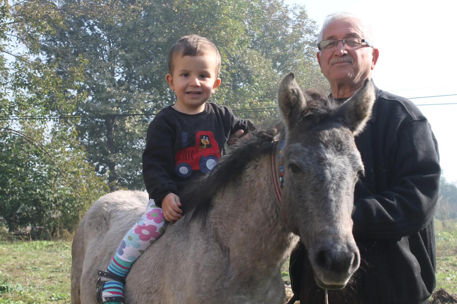 Tay ve minik çocuğun dostluğu