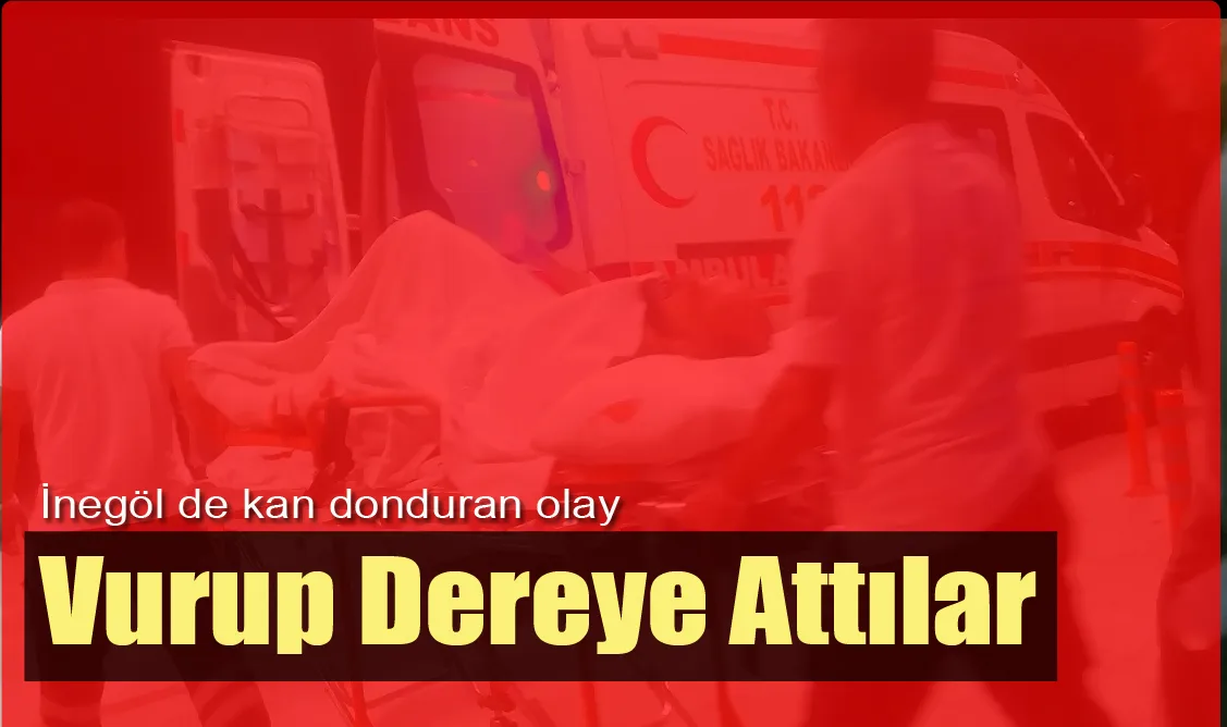 Vurup Dereye Attılar