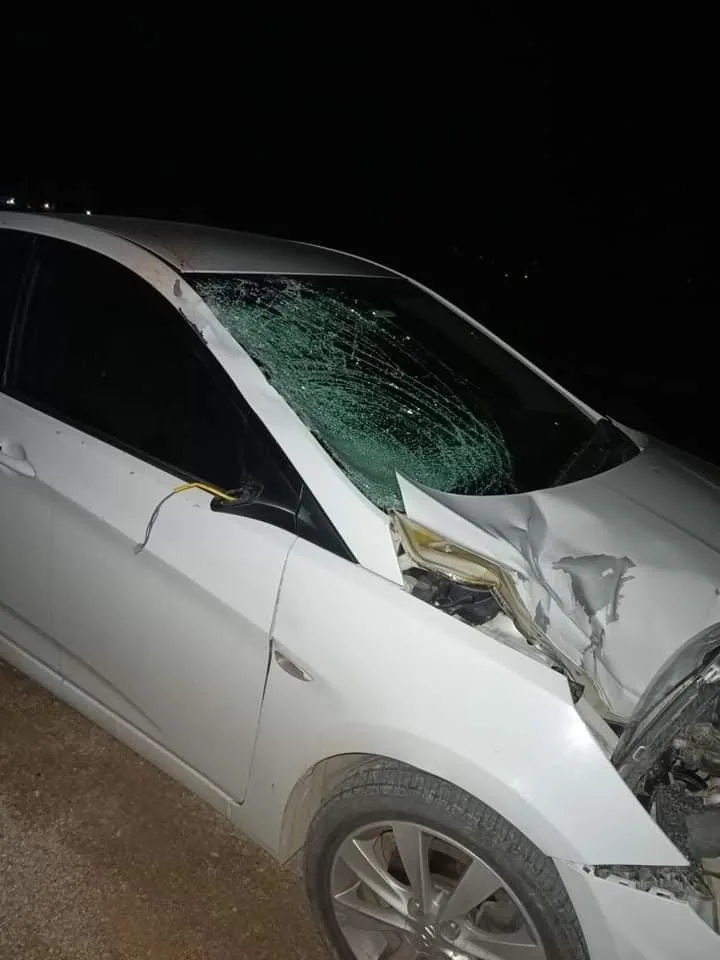 Otomobilin çarptığı yaya hayatını kaybetti