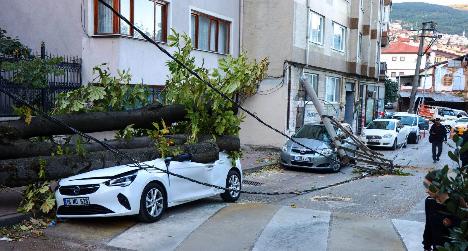 Lodos nedeniyle ağaç ve elektrik direği araçların üzerine devrildi
