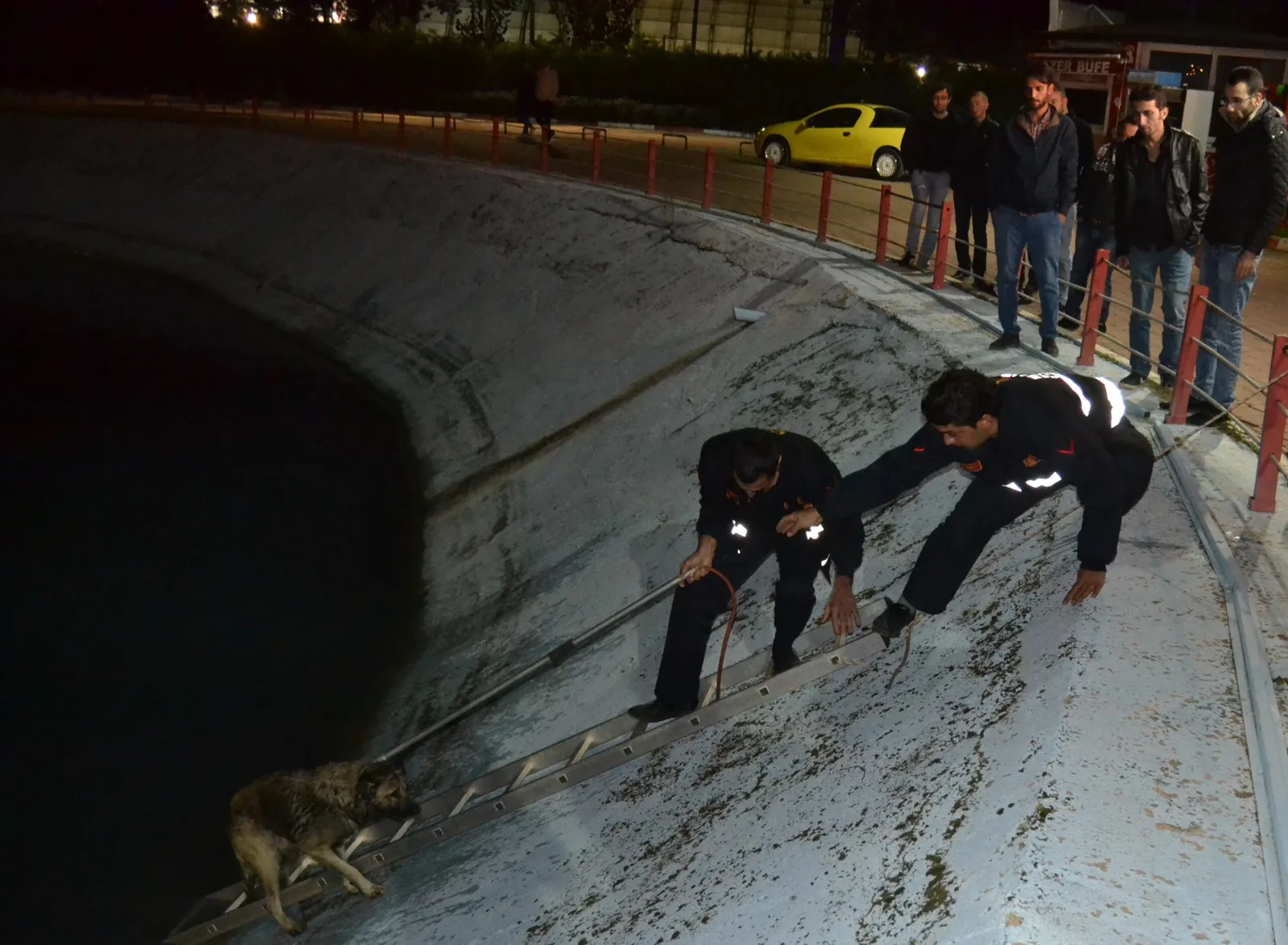 Köpek kurtarma operasyonu