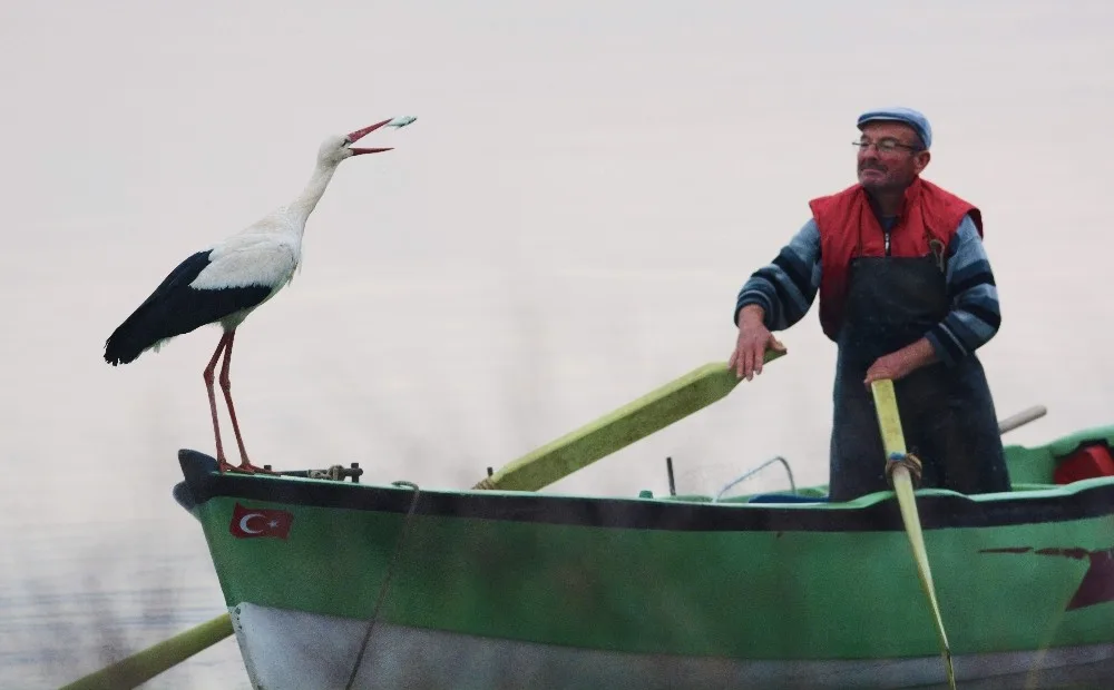 Adem Amca Ve Yaren Leylekin İlginç Hikayesi Sergiye Konu Oldu