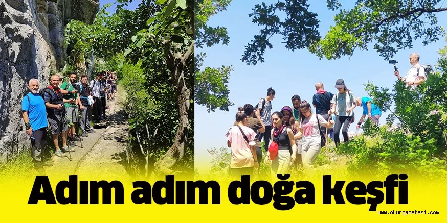 Adım adım doğa keşfi