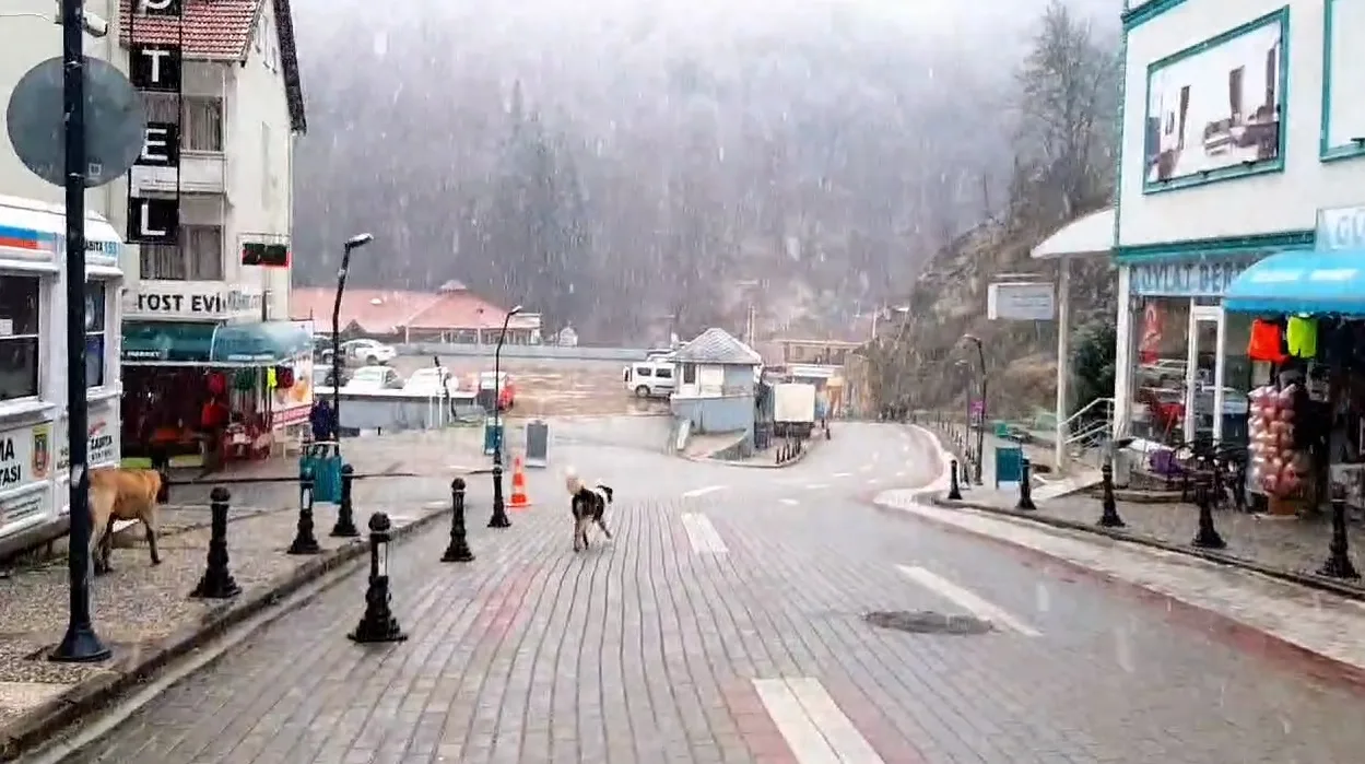 Oylat'ta kar yağışı başladı
